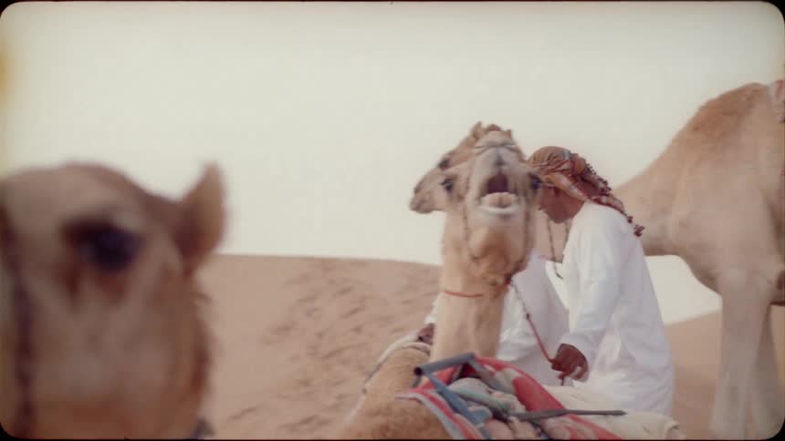 Man sits on a camel in the desert
