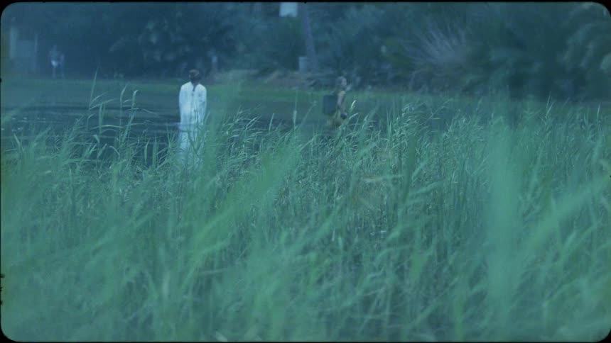 Two people walk through a field of tall grasses