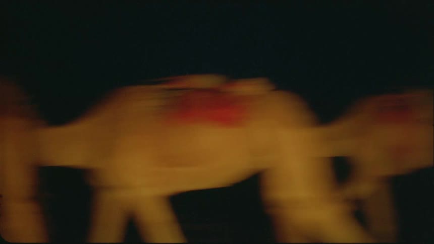 Two camels illuminated by firelight at night