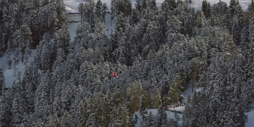 A helicopter is flying above snow-covered pine trees during the day