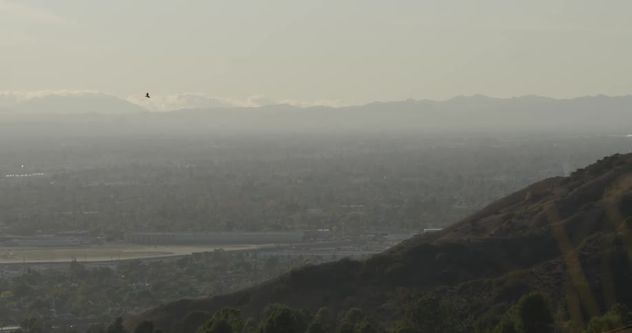 Los Angeles