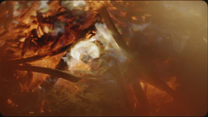 Logs burn hot in a fire