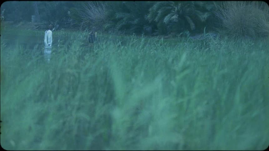 Two people hike in the tall grass ahead