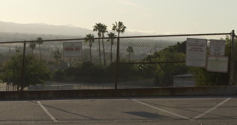 Looking at palm trees next to a road through a fence