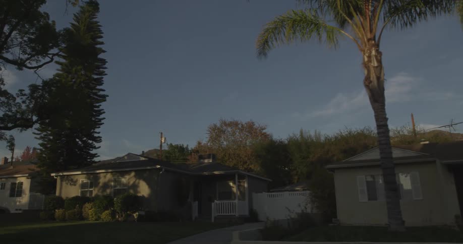A tree lined neighborhood