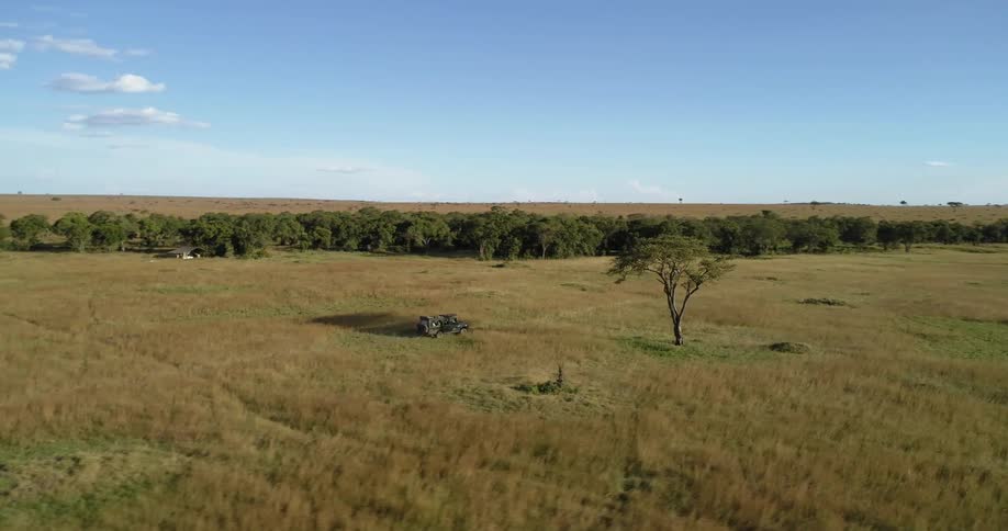 Jeep drives across the savanna