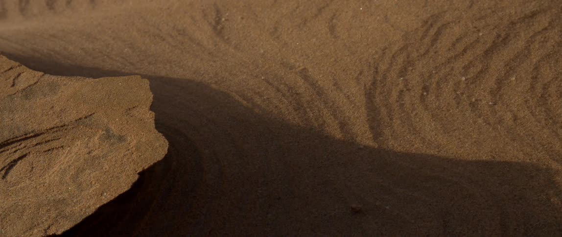 Wind blows in a sandy desert creating dust