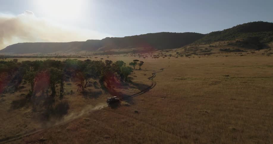 A vehicle is driving on a dirt road through a savanna on a sunny day