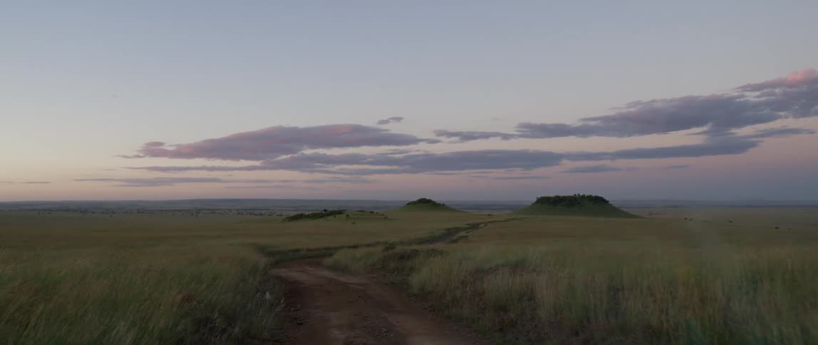 A dirt road parts the grassy field