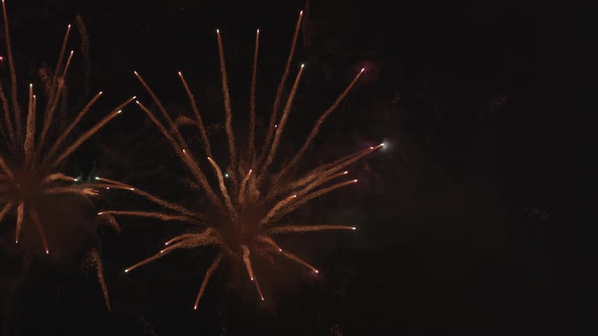 Fireworks exploding in the night sky
