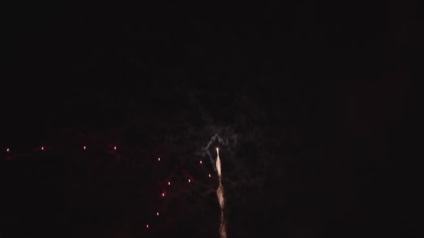 Fireworks going off in a night sky
