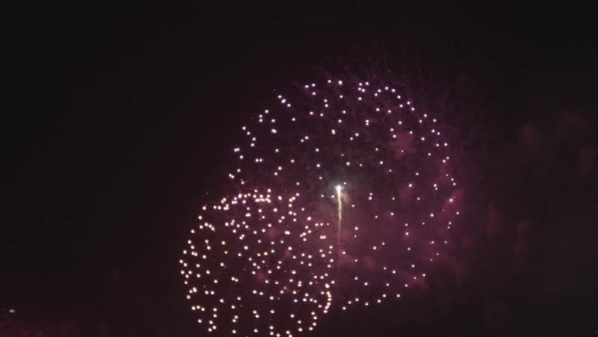 Fireworks exploding in the sky