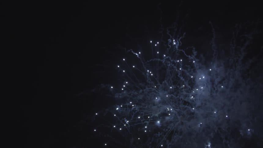 Fireworks explode in the night sky