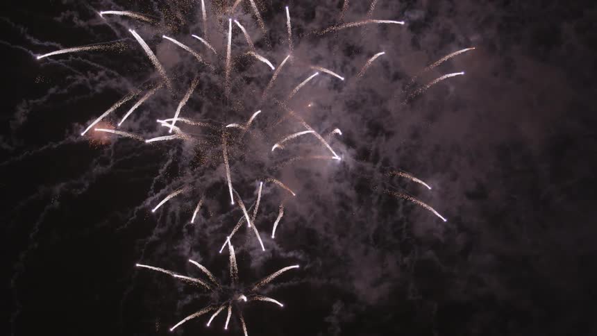 Fireworks explode in the dark night sky