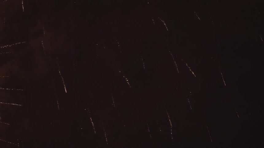 Fireworks exploding in the night sky