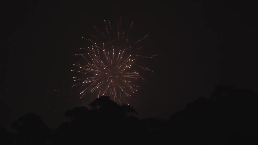 Fireworks explode in a night sky