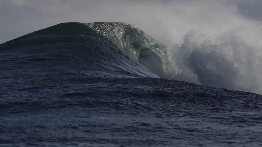A large wave builds and crests in the ocean