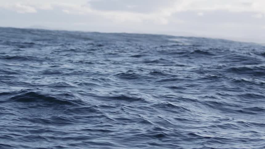 Waves