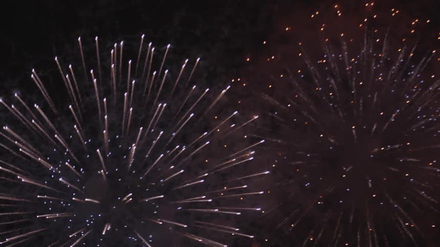 Fireworks exploding in the night sky