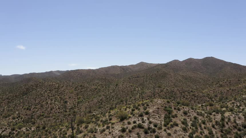 Bushes sit on the hills under a blue sky