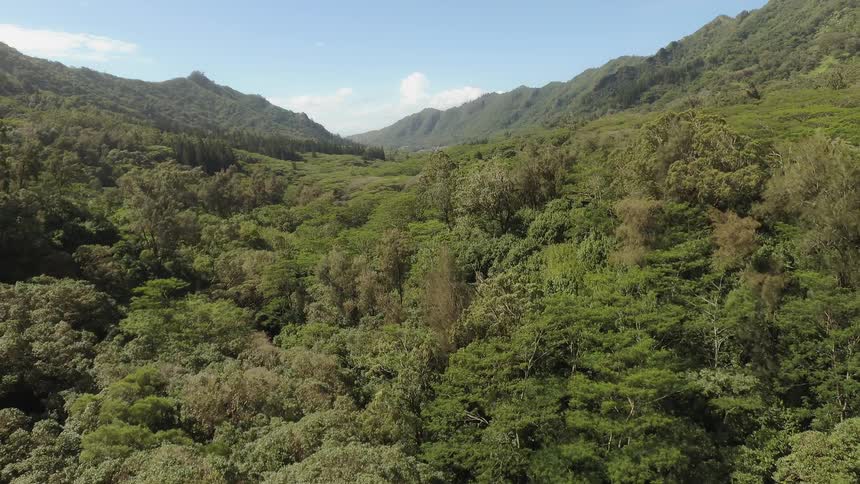 Trees cover the valley between mountains