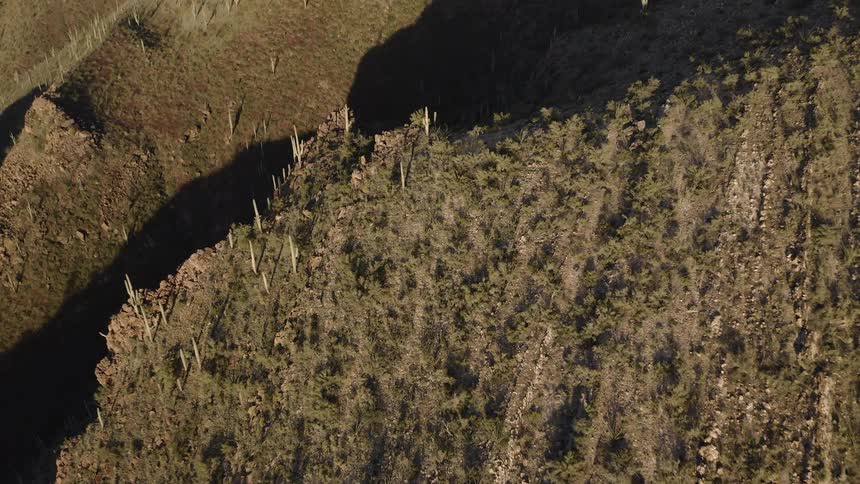 Grass, shrubs and trees cover the mountain landscape