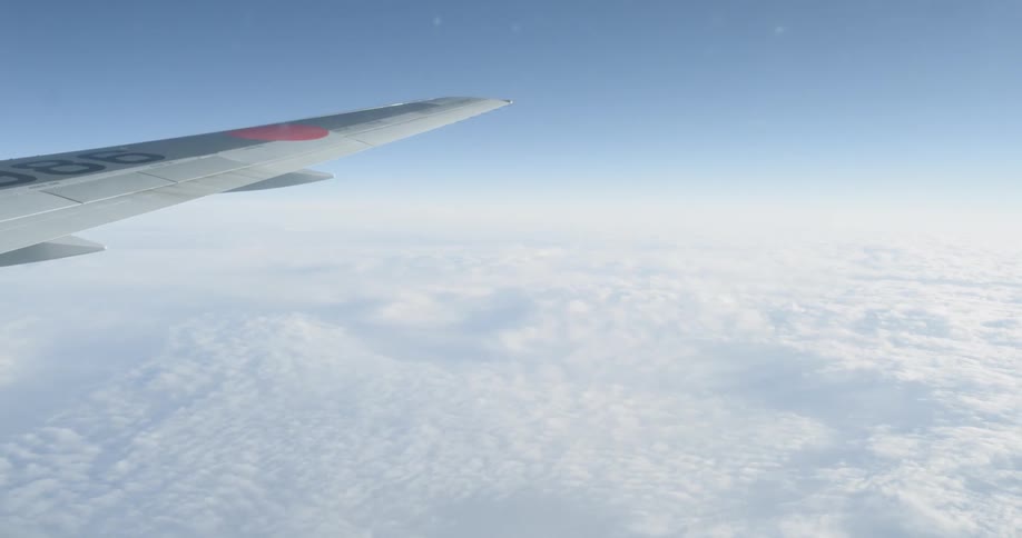 Airplane flies under a blue sky