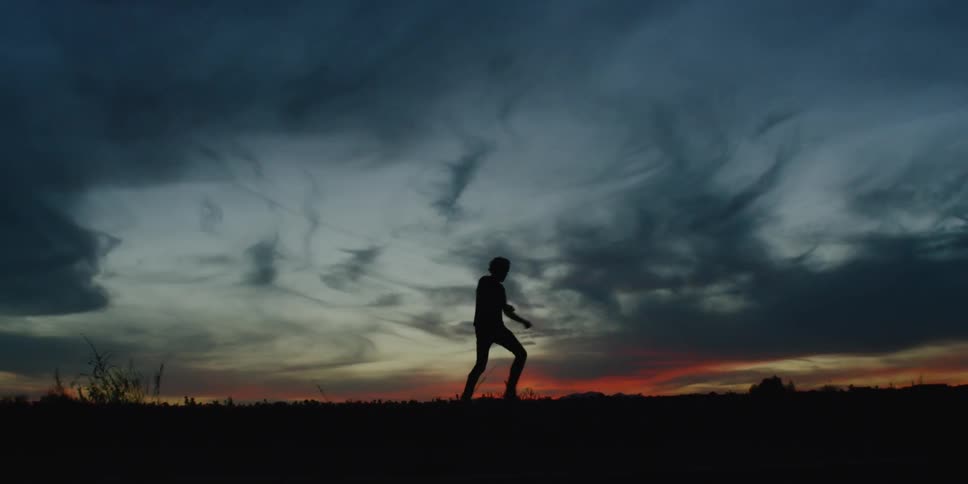 Person dances in a field at sunset