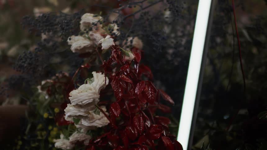 The flowers are covered with paint