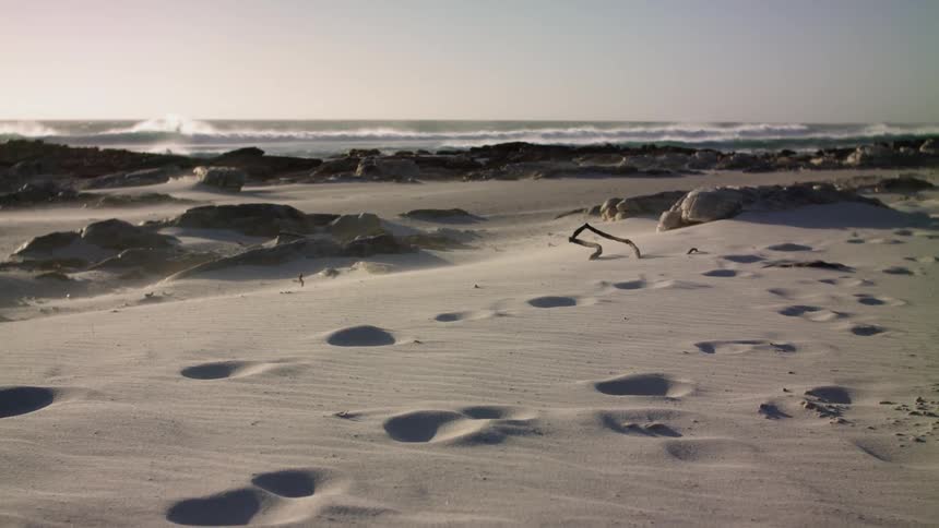 Steps can be seen in the sand by the water