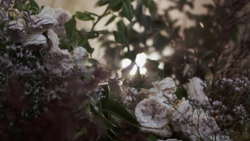 The light is shining in over the flowers