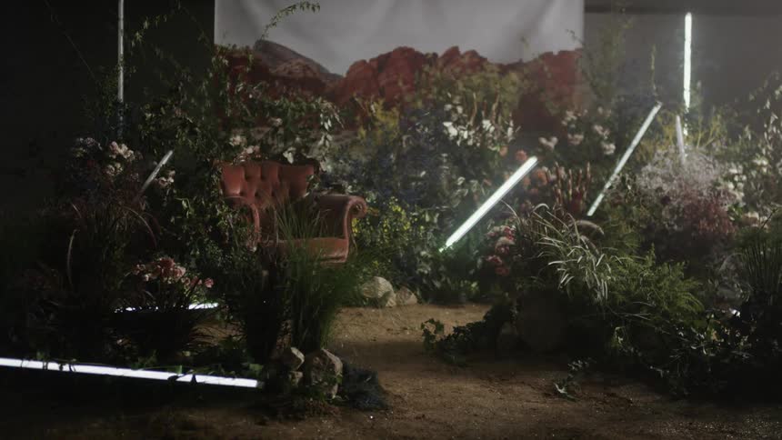 Movie set of plants and a chair with flashing lights
