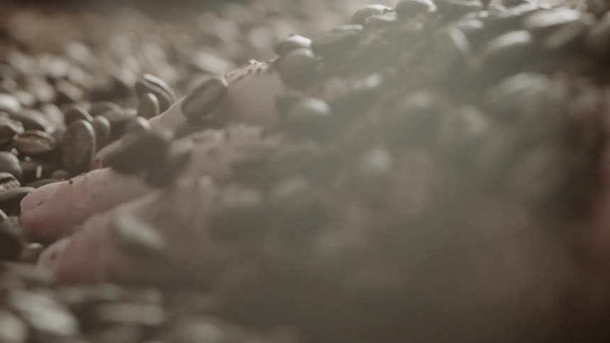 A person moves their hand through the coffee beans