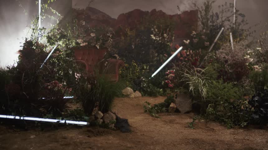 Lights shine behind a chair and plants