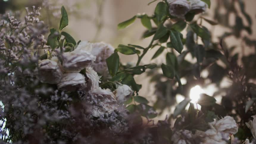 Shrub with wildflowers