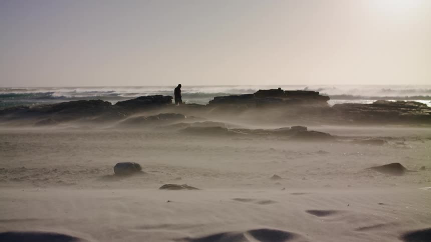 A man and dog are walking on a beach on a windy day