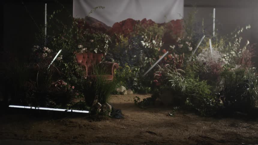 The lights flash around the flowers on the set