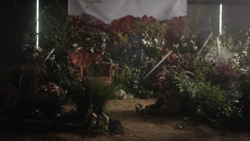 Lights flicker on a film site with many plants and flowers