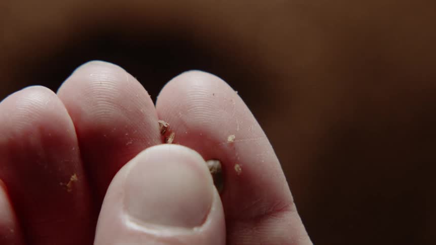 Hand sifts dirt in between fingers