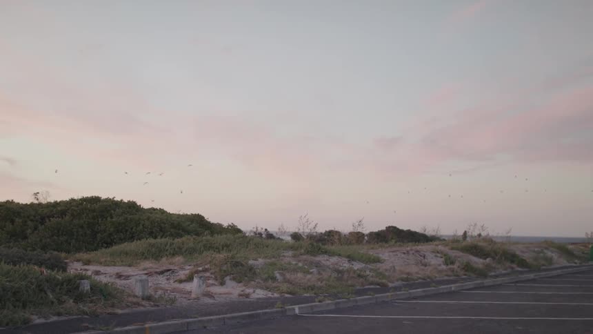 The birds fly over the hills at sunset