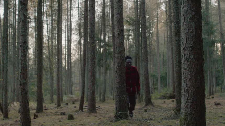 Man stumbles in forest and rests against tree