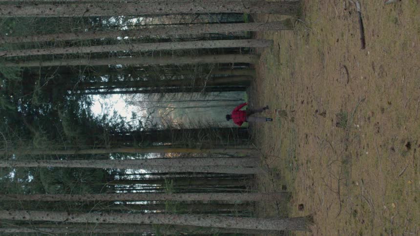 Man limps through a dense tree covered forest