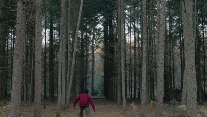 Man limps through a dense tree covered forest
