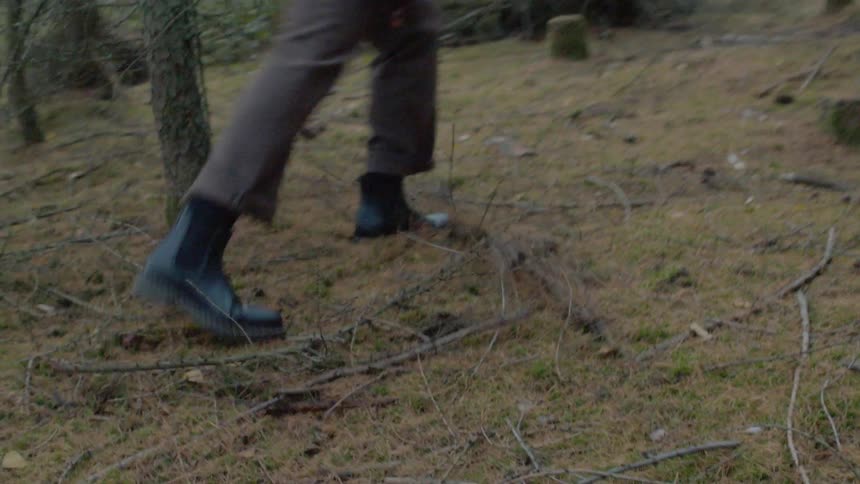 Person walks outside in the woods