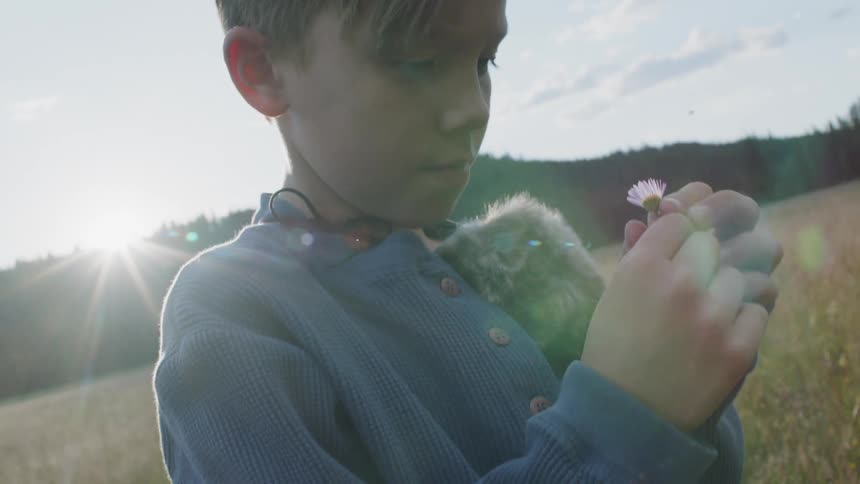 Child looks at a flower in a field on a sunny day