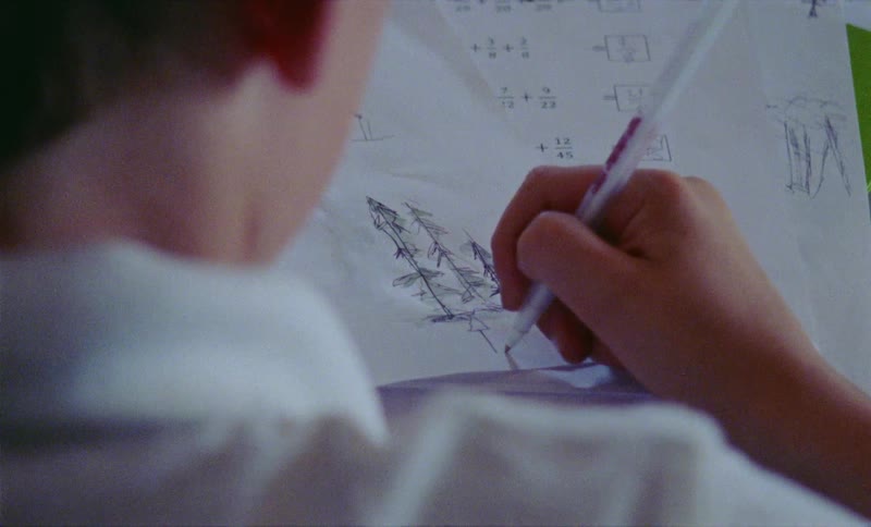 Boy is drawing pictures of trees on paper