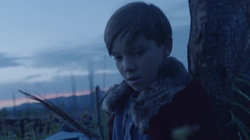 Boy in a costume leans against a rural tree at sunset