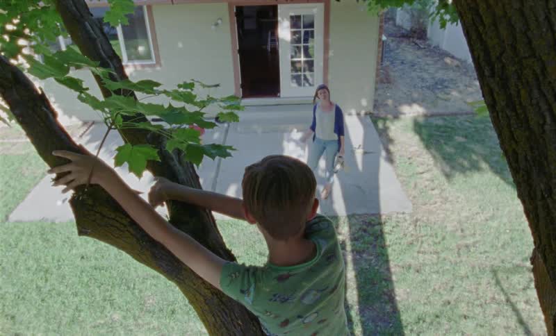 Child climbs a tree and his mother comes outside to scold him