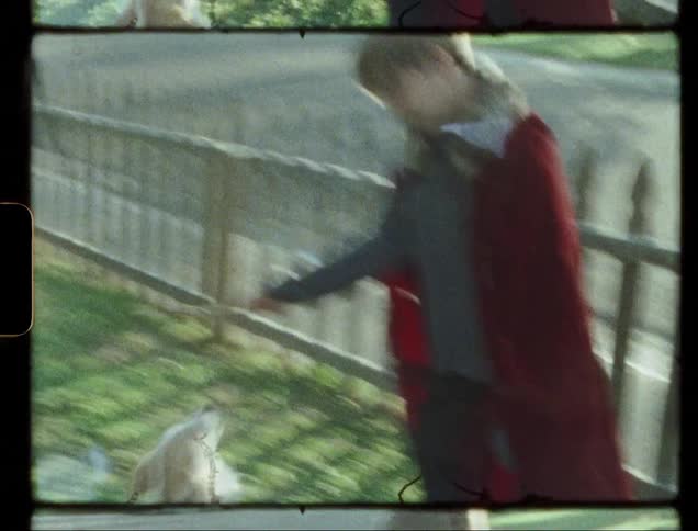 Boy plays with dog in a front yard