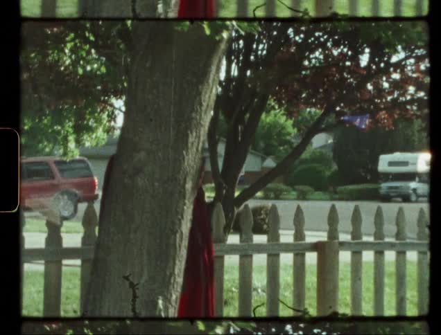 Child wearing a mask and red cape peeks out from behind a tree